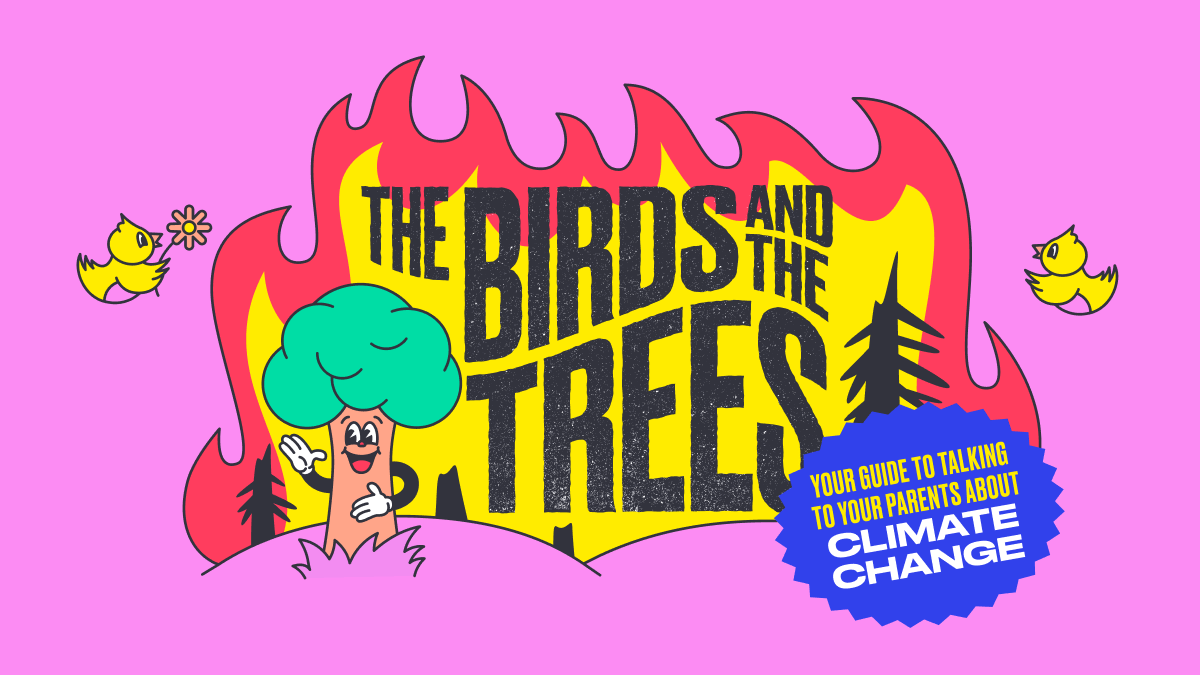 The birds and the trees